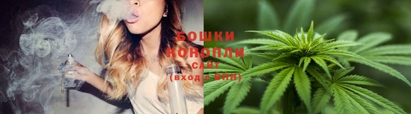 прущий лед Заводоуковск