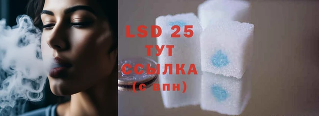 стафф Заволжье