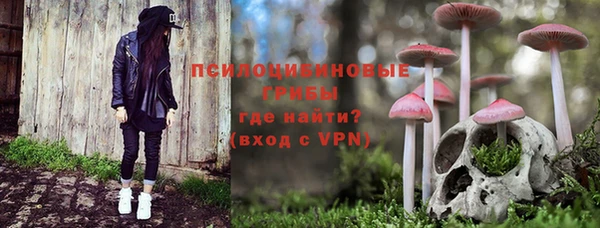 прущий лед Заводоуковск