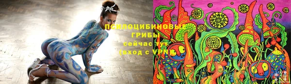 стафф Заволжье