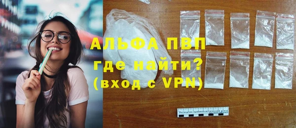 стафф Заволжье