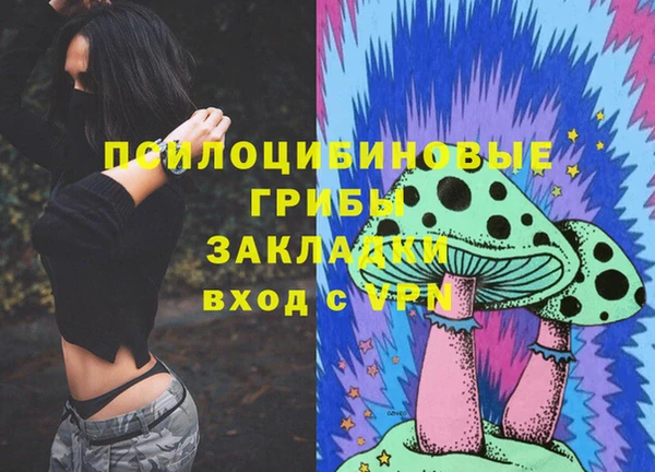 прущий лед Заводоуковск