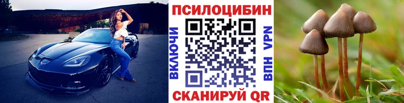 Псилоцибиновые грибы Psilocybine cubensis  Купить  Воткинск 